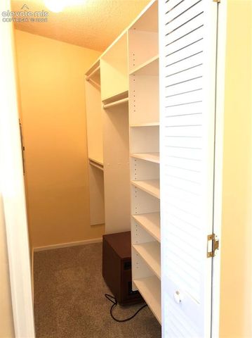 169 Daisy Street, Woodland Park, CO 80863