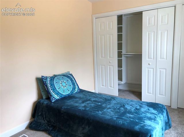 169 Daisy Street, Woodland Park, CO 80863