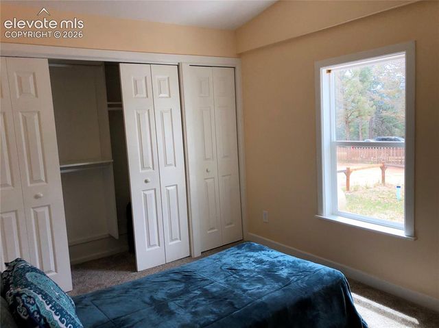 169 Daisy Street, Woodland Park, CO 80863