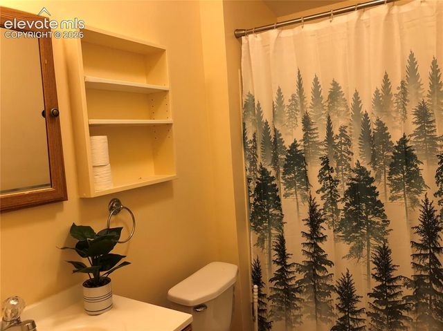 169 Daisy Street, Woodland Park, CO 80863