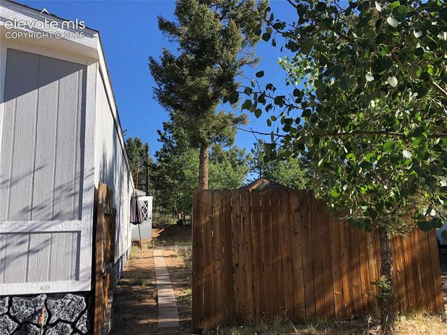 169 Daisy Street, Woodland Park, CO 80863