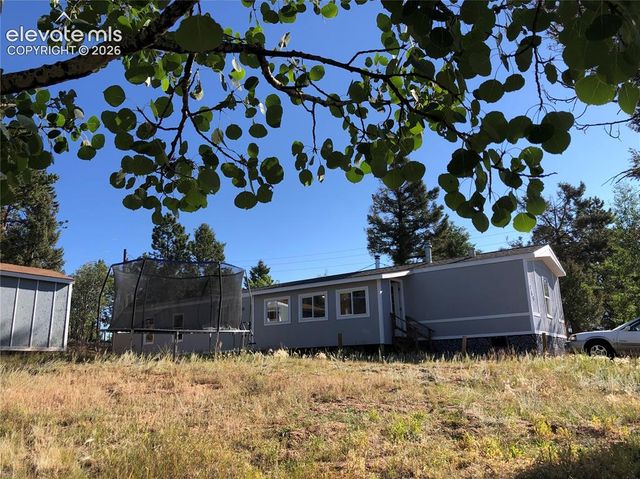 169 Daisy Street, Woodland Park, CO 80863
