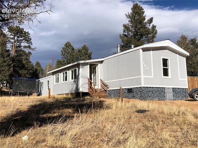 169 Daisy Street, Woodland Park, CO 80863