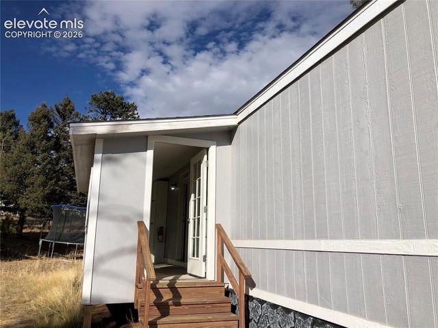 169 Daisy Street, Woodland Park, CO 80863