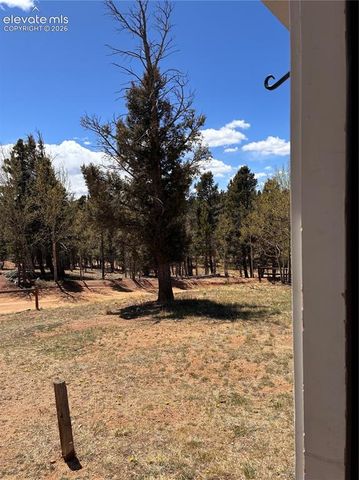 169 Daisy Street, Woodland Park, CO 80863