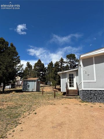 169 Daisy Street, Woodland Park, CO 80863