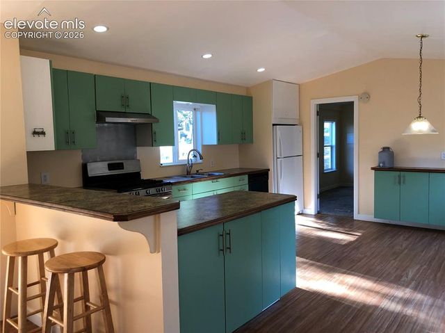 169 Daisy Street, Woodland Park, CO 80863
