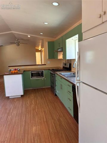 169 Daisy Street, Woodland Park, CO 80863