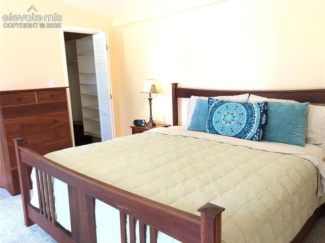 169 Daisy Street, Woodland Park, CO 80863