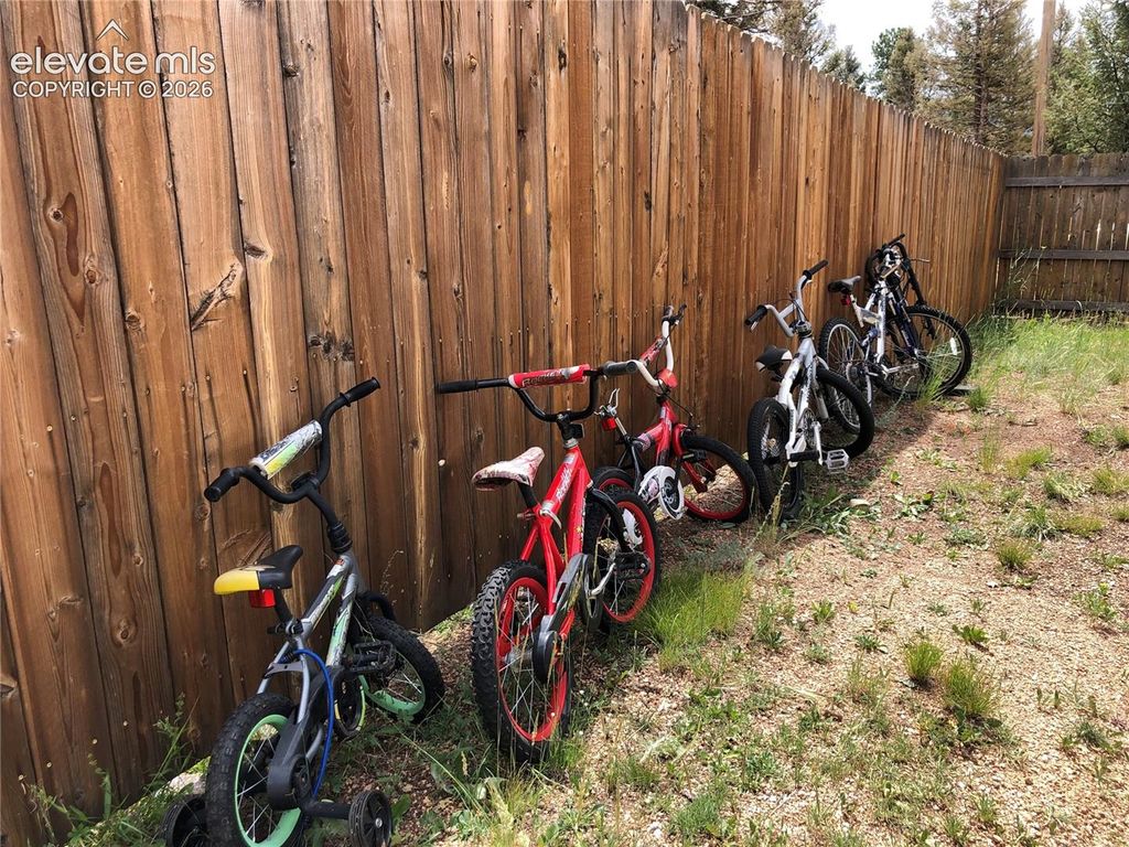 169 Daisy Street, Woodland Park, CO 80863 — photo 4