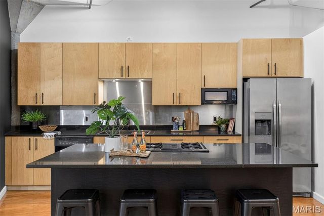 1619 Washington Avenue 505, St Louis, MO 63103