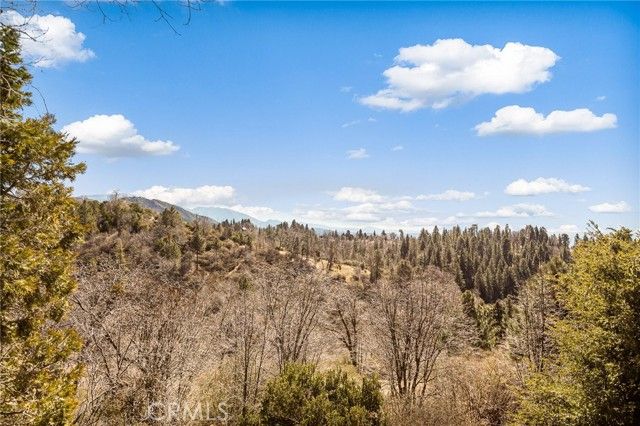 30509 Live Oak, Running Springs, CA 92382