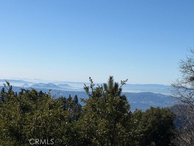 30509 Live Oak, Running Springs, CA 92382