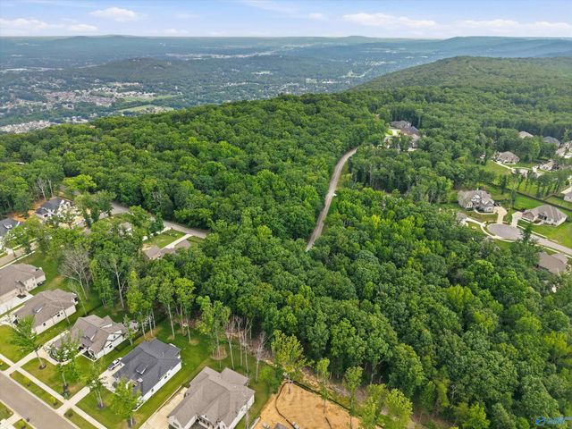 13347 S South Village Square Road, Huntsville, AL 35803