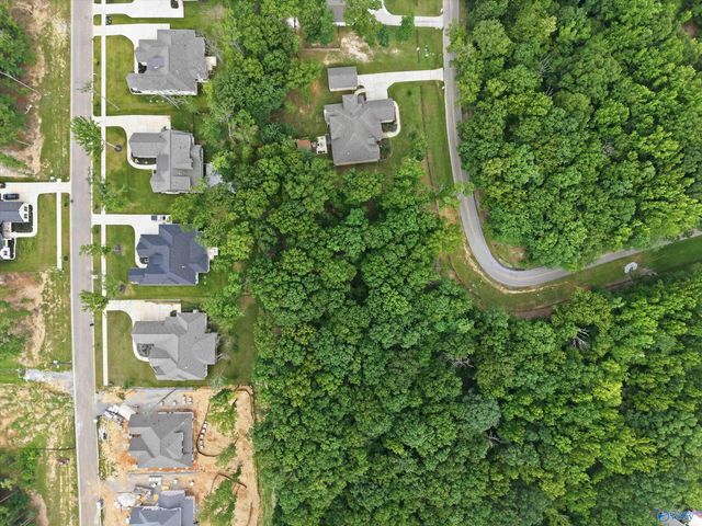 13347 S South Village Square Road, Huntsville, AL 35803