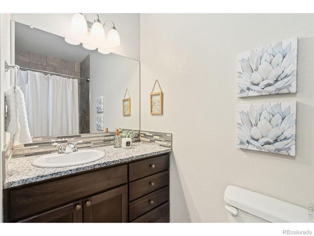 610 Cedar Street 4, Windsor, CO 80550