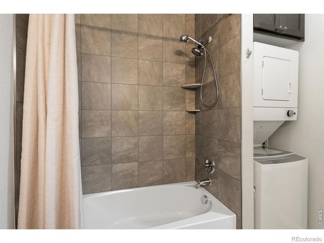 610 Cedar Street 4, Windsor, CO 80550