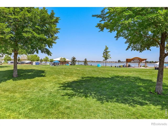 610 Cedar Street 4, Windsor, CO 80550