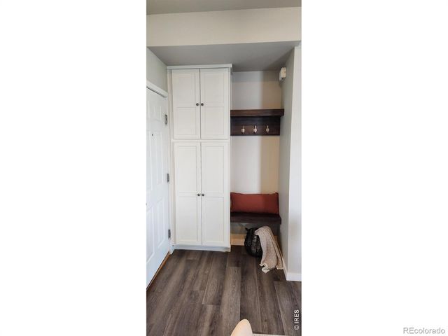 610 Cedar Street 4, Windsor, CO 80550