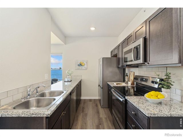 610 Cedar Street 4, Windsor, CO 80550