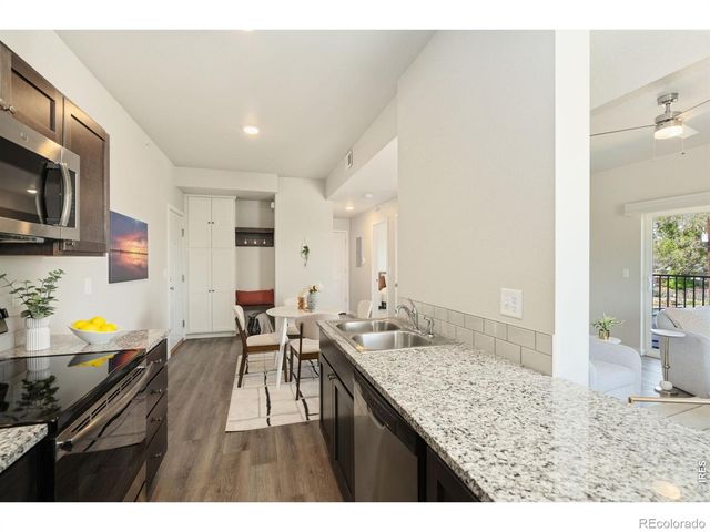 610 Cedar Street 4, Windsor, CO 80550