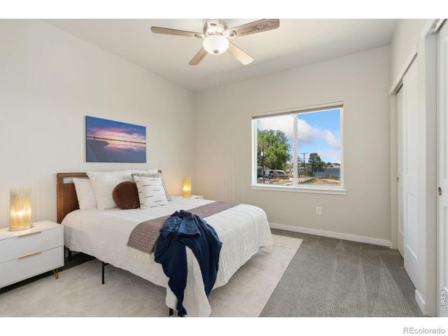 610 Cedar Street 4, Windsor, CO 80550
