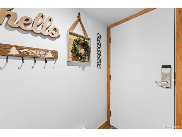 423 Wild Irishman Rd Blue Grous-13202, Dillon, CO 80435