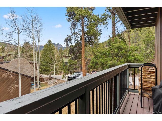 423 Wild Irishman Rd Blue Grous-13202, Dillon, CO 80435