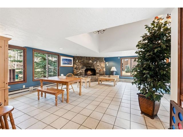 423 Wild Irishman Rd Blue Grous-13202, Dillon, CO 80435