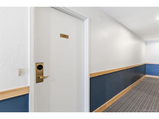 423 Wild Irishman Rd Blue Grous-13202, Dillon, CO 80435