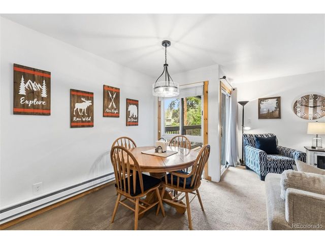 423 Wild Irishman Rd Blue Grous-13202, Dillon, CO 80435