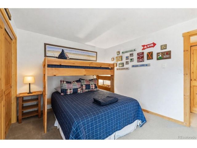 423 Wild Irishman Rd Blue Grous-13202, Dillon, CO 80435