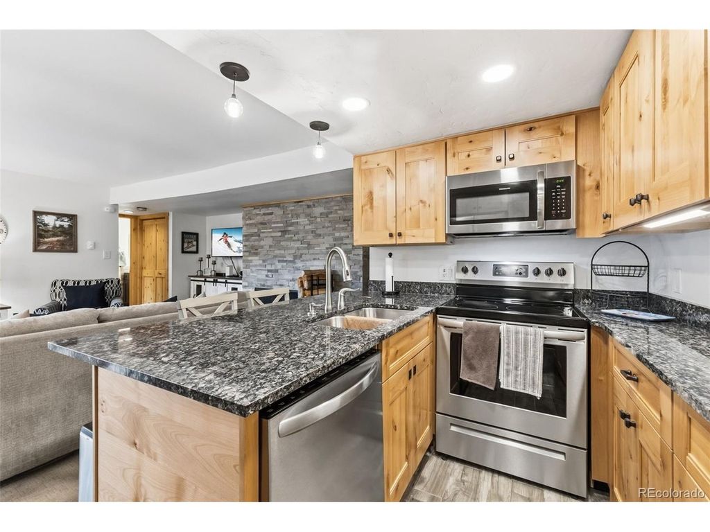 423 Wild Irishman Rd Blue Grous-13202, Dillon, CO 80435