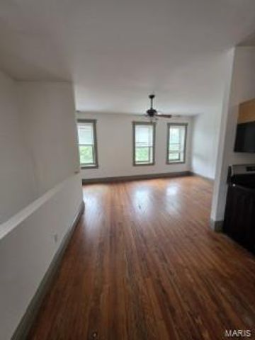 3008 S Jefferson Avenue, St Louis, MO 63118