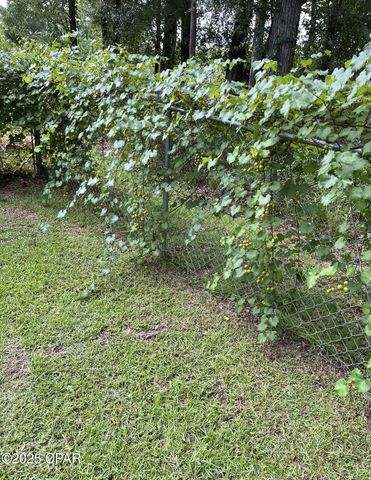 4667 Fox Trace, Marianna, FL 32446