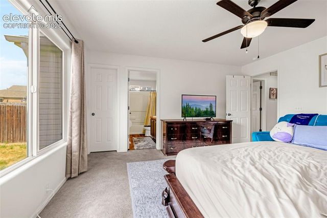 6538 Fowler Drive, Colorado Springs, CO 80923