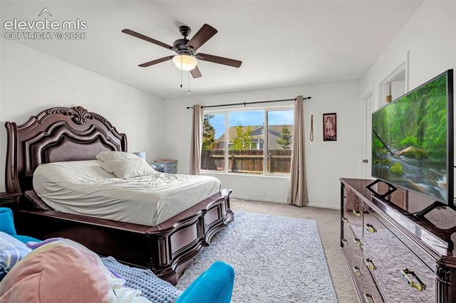 6538 Fowler Drive, Colorado Springs, CO 80923