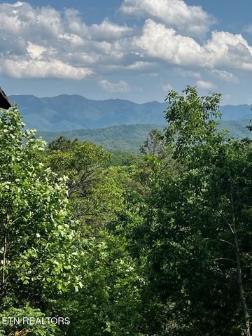 3 Powdermill Drive, Gatlinburg, TN 37738