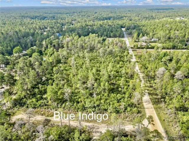 4912 W Blue Indigo Lane, Beverly Hills, FL 34465