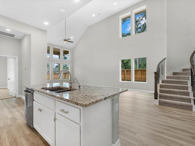 16530 Harmony Lea Lane, Hockley, TX 77447