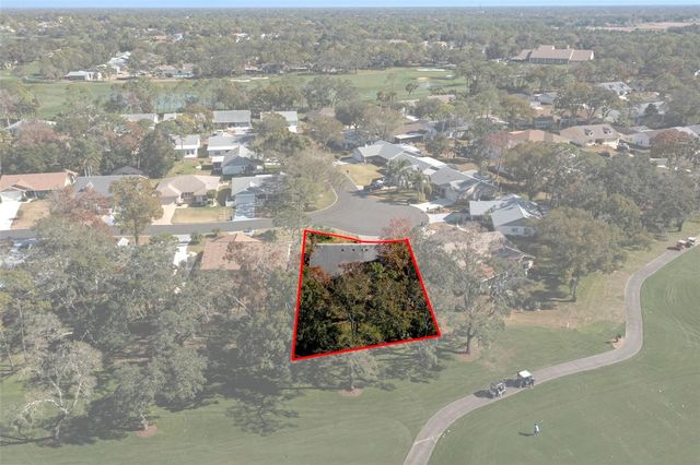 2401 BIRDIE LANE, Spring Hill, FL 34606