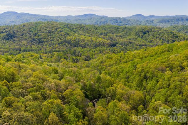 36 Snowshoe Drive, Asheville, NC 28803