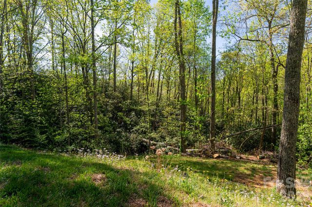 36 Snowshoe Drive, Asheville, NC 28803