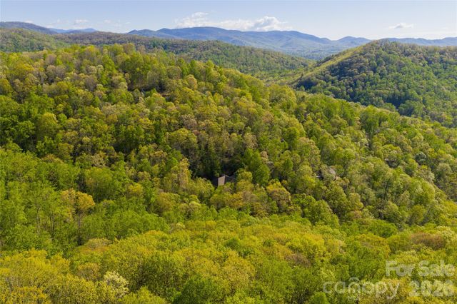 36 Snowshoe Drive, Asheville, NC 28803