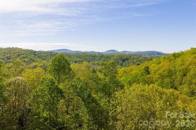 36 Snowshoe Drive, Asheville, NC 28803
