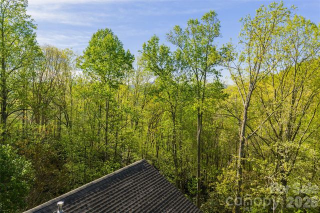 36 Snowshoe Drive, Asheville, NC 28803