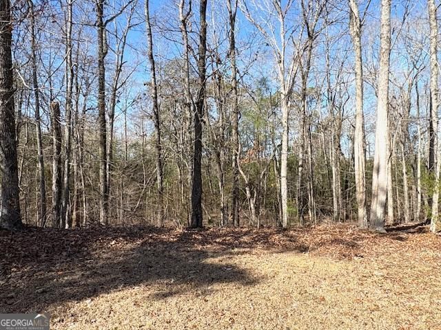 764 Hagans Mountain Road, Meansville, GA 30256