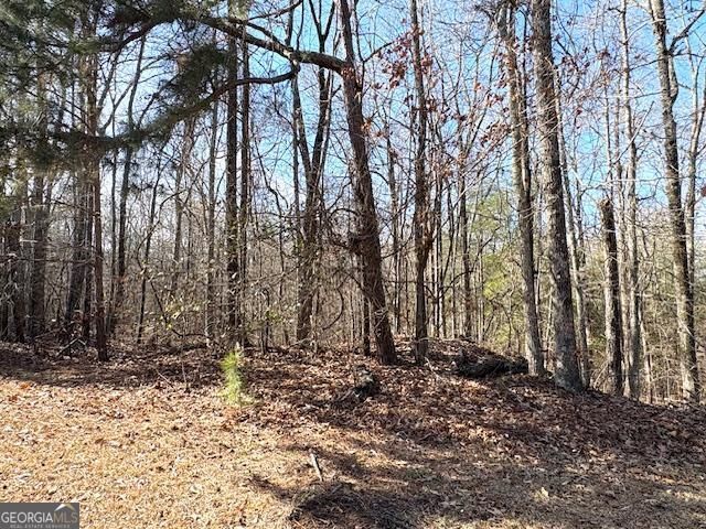 764 Hagans Mountain Road, Meansville, GA 30256