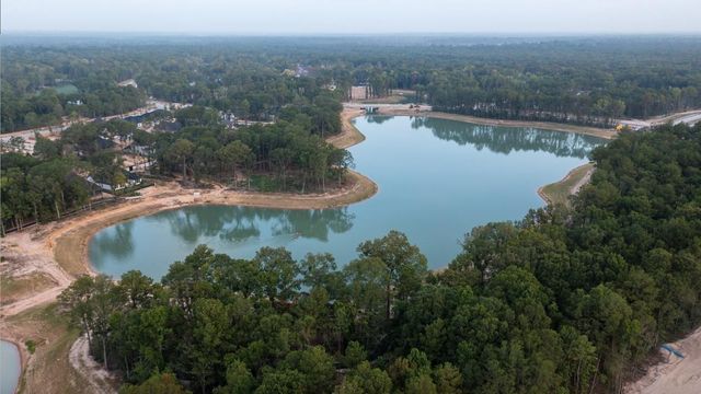 22242 Junction Peak Drive, Porter, TX 77365