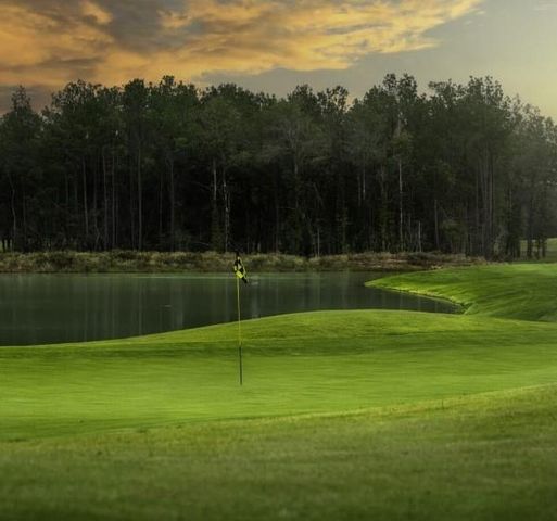 22242 Junction Peak Drive, Porter, TX 77365